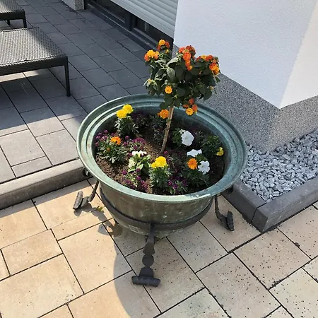 Gaestehaus Witteborg